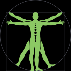 Afbeelding › Chiropractie Medicus Vlaardingen