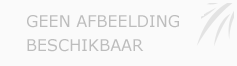 Afbeelding › Chiropractie Hengelo